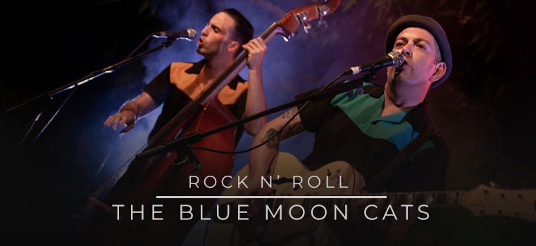 The Blue Moon Cats